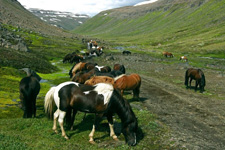 Iceland-Highland Tours-Between Glaciers into the Desert